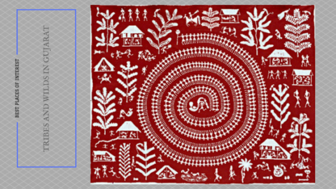 Tribes and wilds from Gujarat