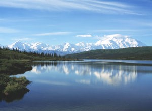 Alaska: Denali National Park, an Unforgettable Journey