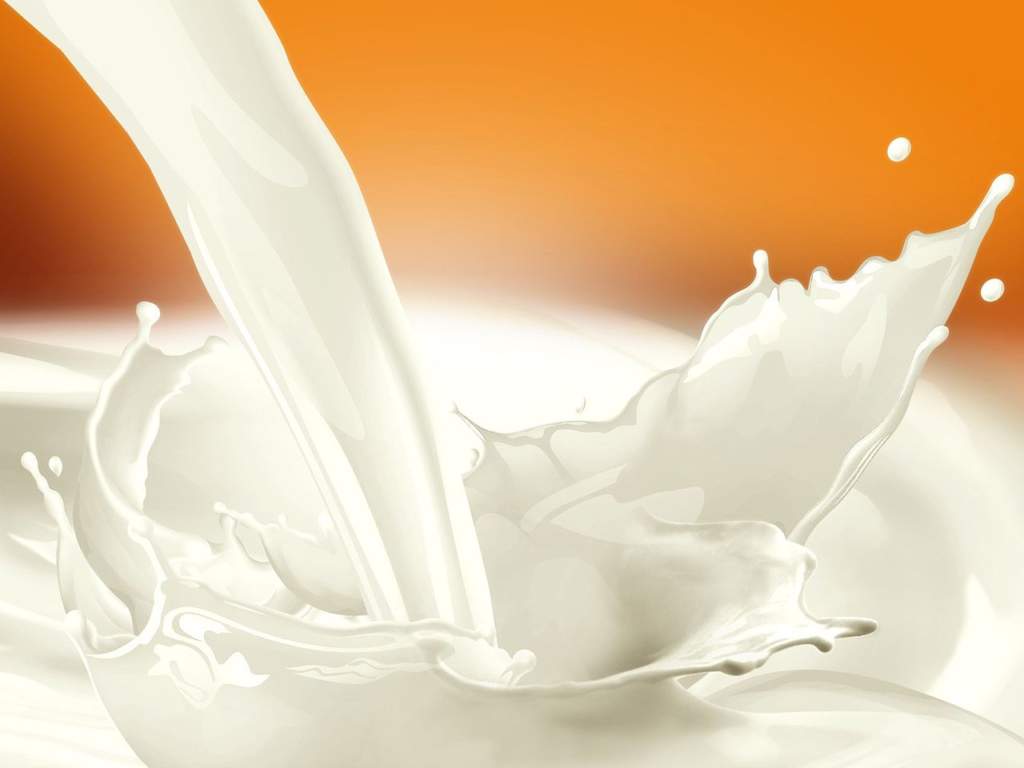 World Milk Day