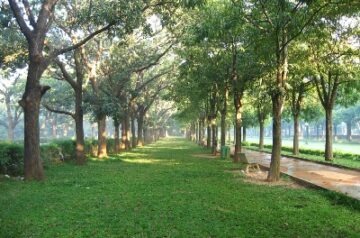 Cubbon park, Bangalore, Bengaluru