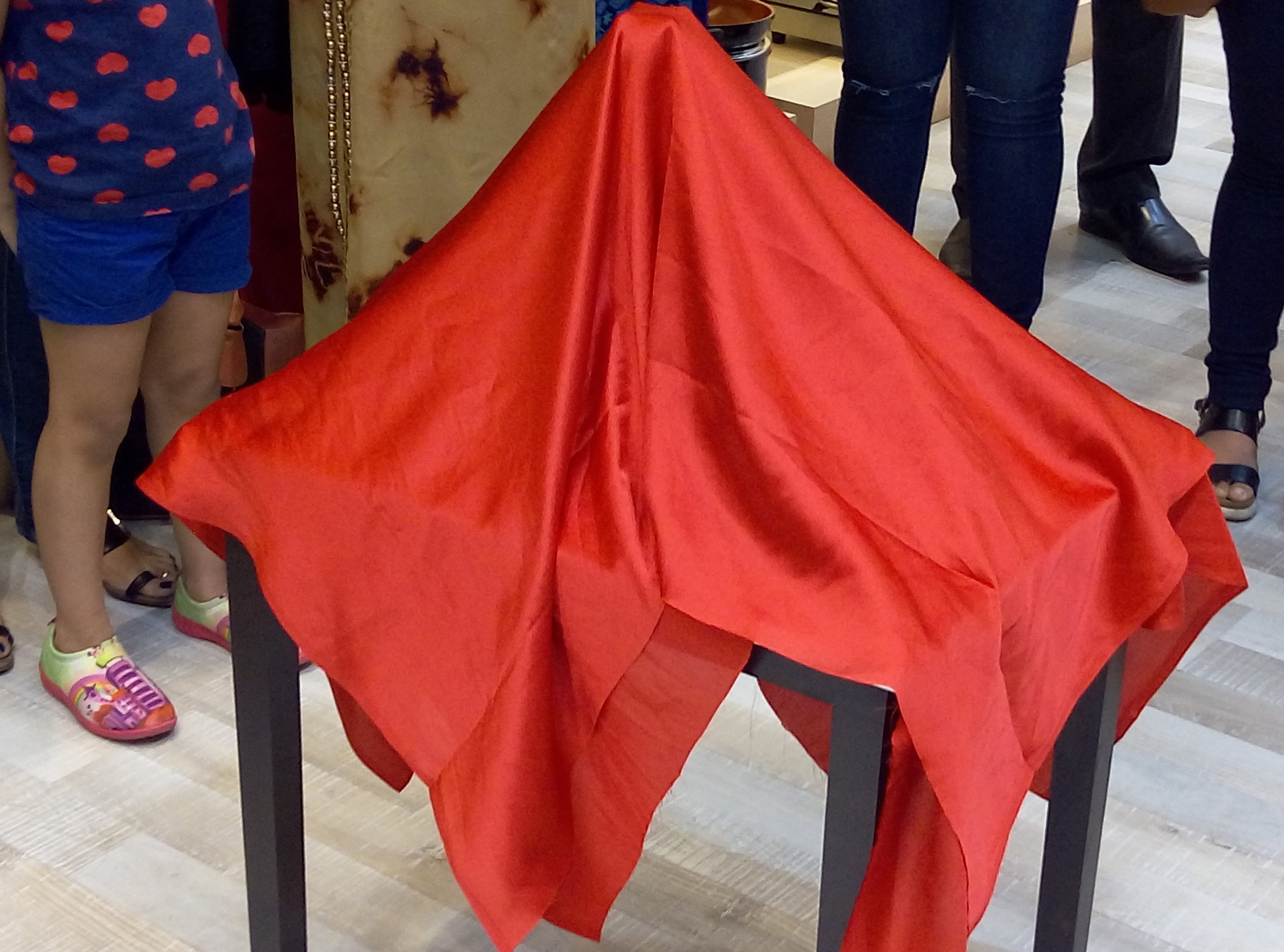 The unveiling of the Wonderchef performer