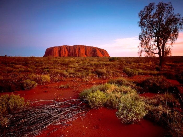 6 Picturesque Places For The Nature Lovers In Australia