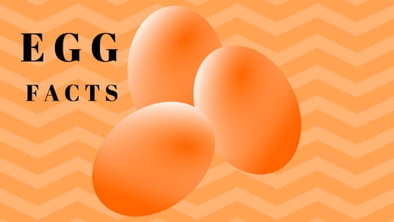 Did you know these egg facts?