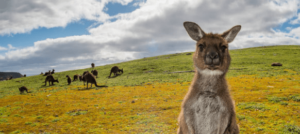 picture-worthy places in Australia