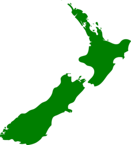 New Zealand, eggs in a fridge