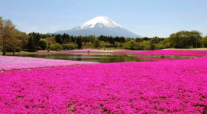 Hokkaido, Japan