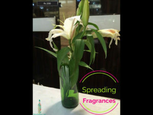 Spreading fragrances with these eco-friendly gifts this Diwali