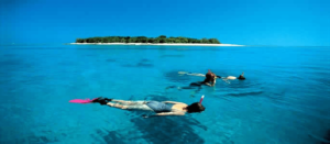 Lady Musgrave Island, Great Barrier Reef islands