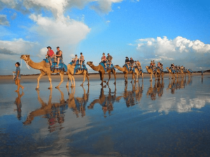 Camel Safari, adventure activities in Australia