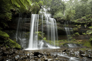 Tasmania, source- wise wilderness