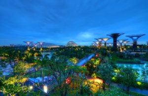 Gardens by the bay, Singapore attractions