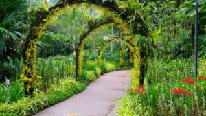 Singapore Botanic Gardens, Singapore attractions