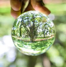 go green