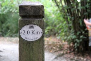 Walk for a healthy lifestyle