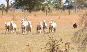 Melbourne, Australia