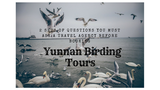 2 Sets of Questions You Must Ask a Travel Agency before Booking Yunnan Birding Tours