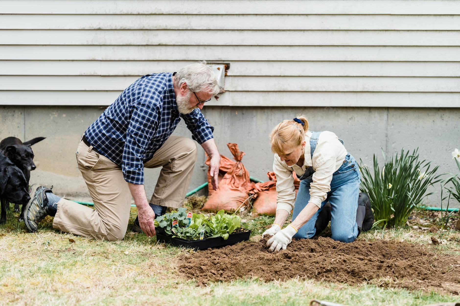 a couple doing gardening, composting at home on Earth day