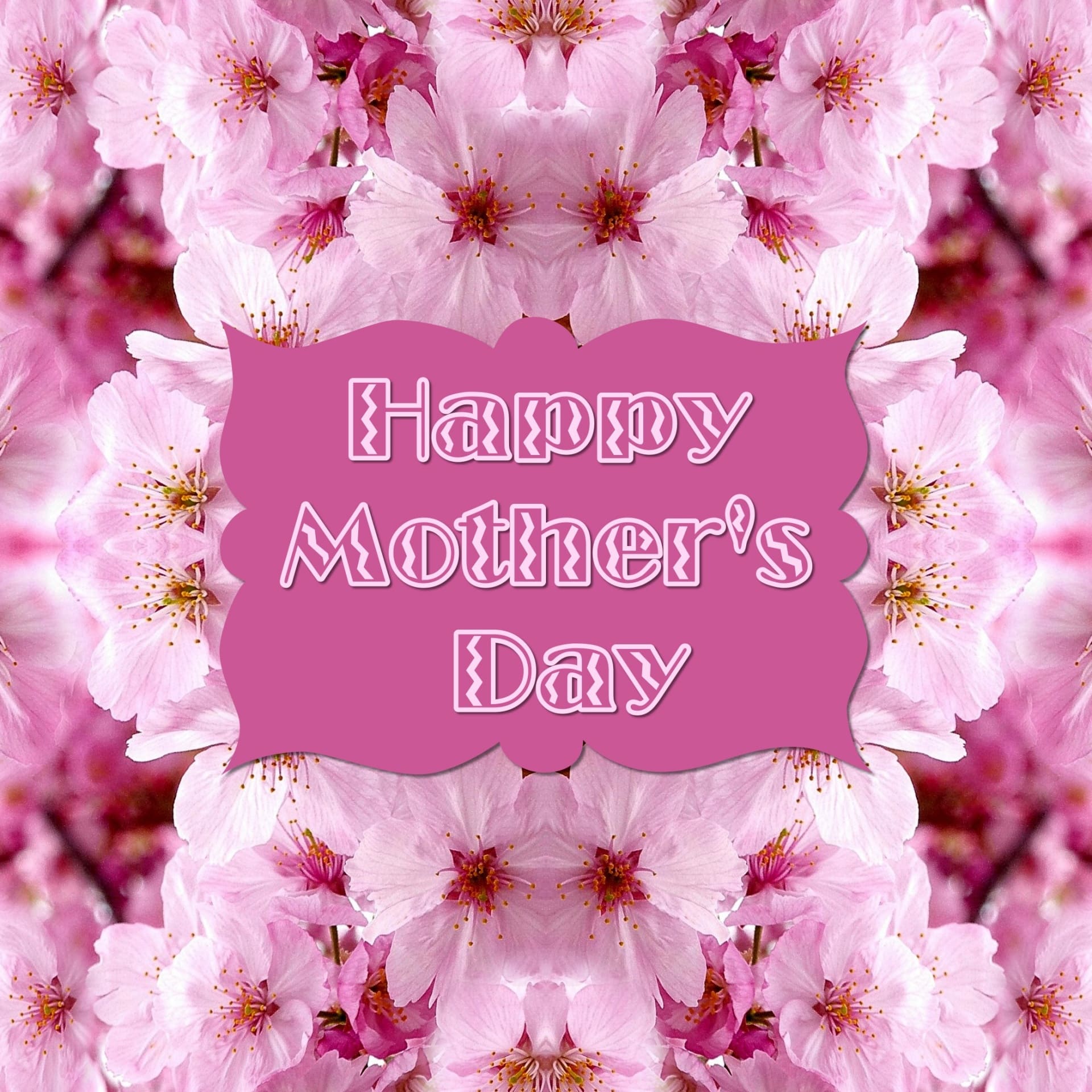 13 reasons you didn’t know about Mother’s Day