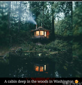 A cabin deep in the woods in Washington, breathtaking places