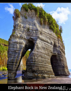 Elephant rock in New Zealand, breathtaking places of the world