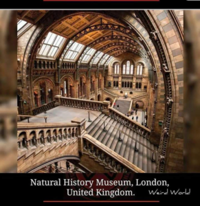 Natural history museum, London, breathtaking places in the world