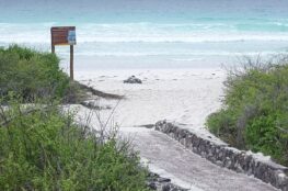 Tortuga Bay, beaches of the world