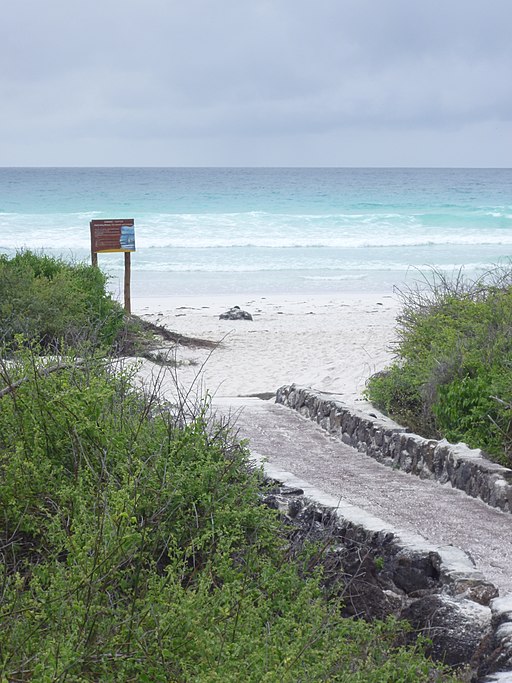 Tortuga Bay, beaches of the world