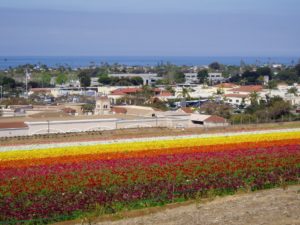 Carlsbad, California cities