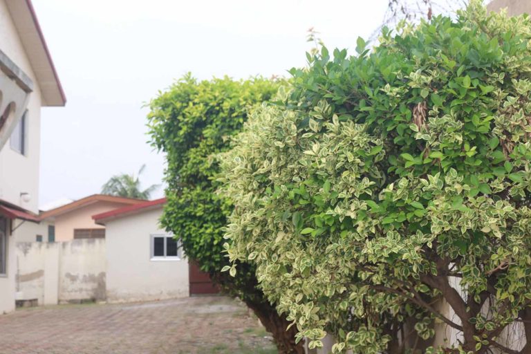 sankofa guests house