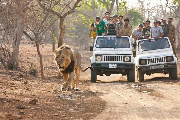 Sasan Gir, Hidden treasures of Gujarat, Deccan Odyssey