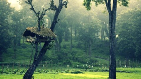 featured image, Kerala