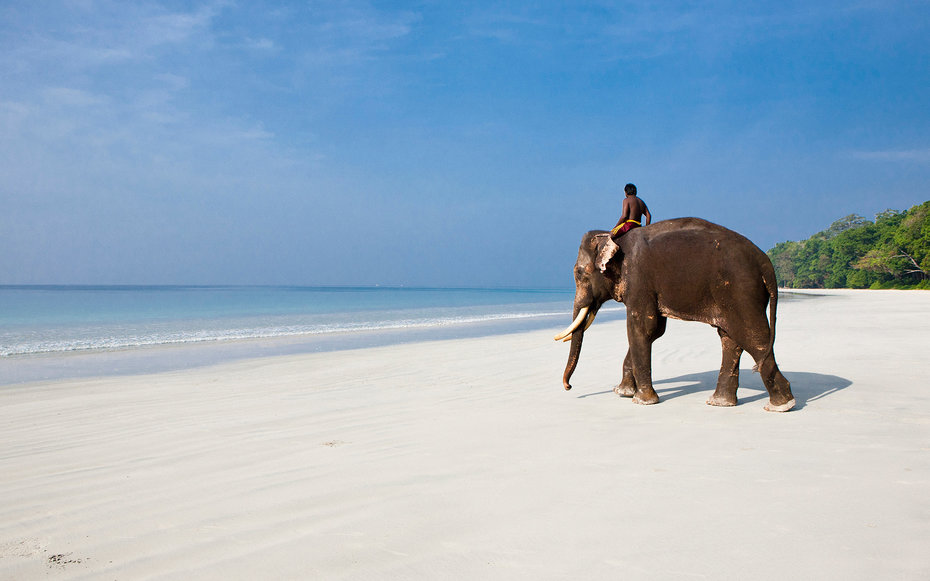 Elephant beach, Andaman