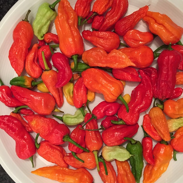 Have you had the spiciest food in India?