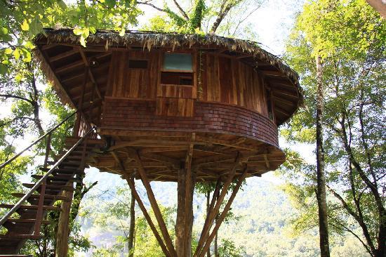 Athirappilly treehouse honeymoon Kerala