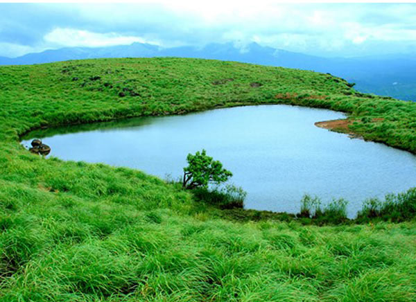 Wayanad, honeymoon Kerala