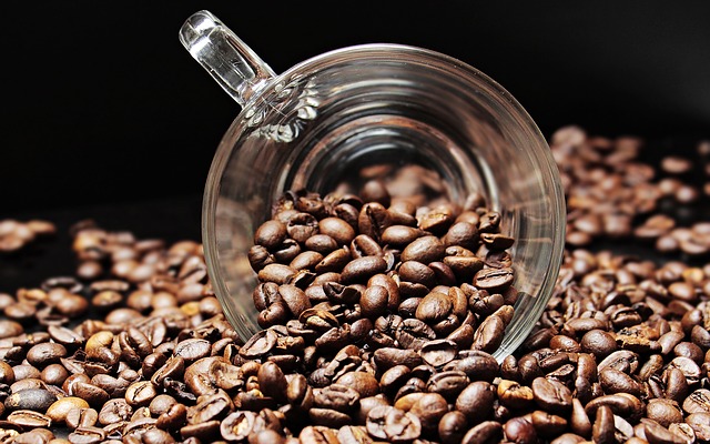Coffee beans is rajasic diet.