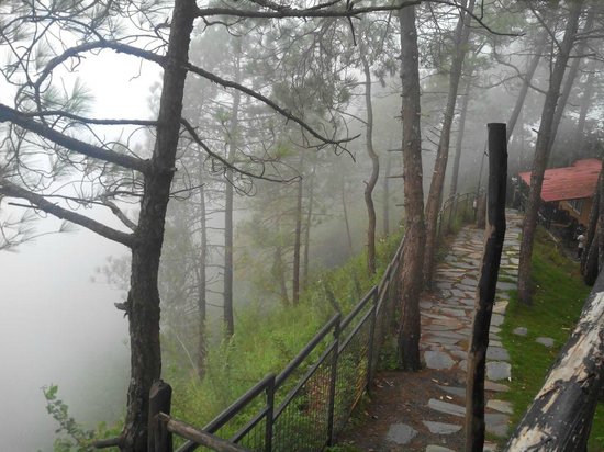 Shoghi, Himachal Pradesh
