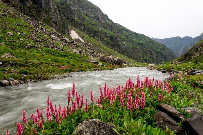 Things to experience during monsoon in Himachal