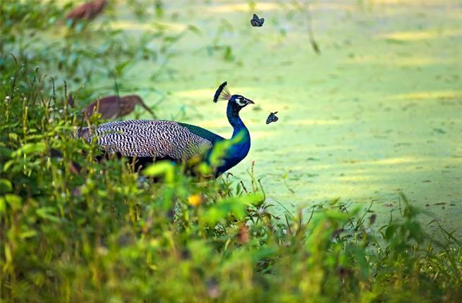 What are the best and hidden places to visit in India? Part 5