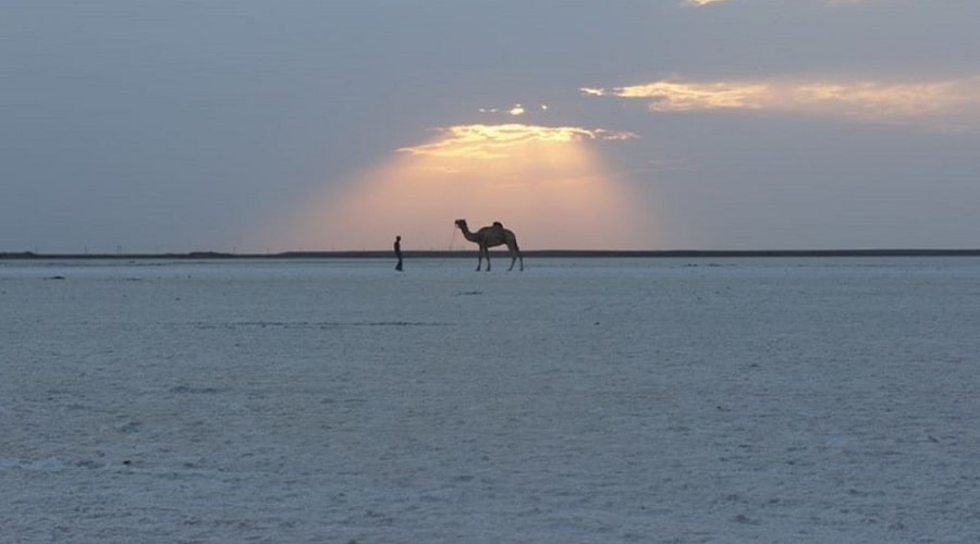 Explore Greater Rann of Kutch