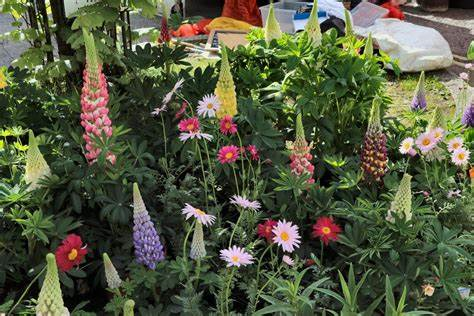 Alresford Watercress Festival