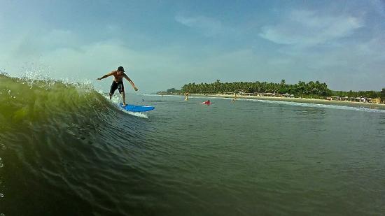Surfing in Goa