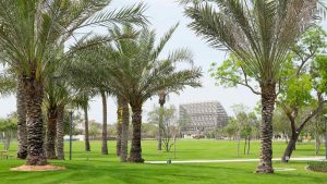 Umm Al Emarat Park, Abu Dhabi