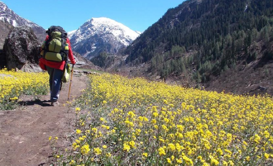 Har ki dun trek