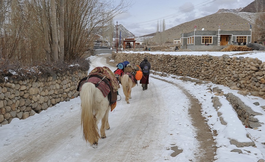Snow, Sham Valley Winter trek