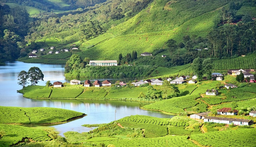 Munnar