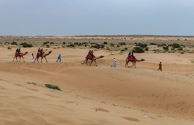 Thar Desert, Jaisalmer 
IC: Ninara Flickr