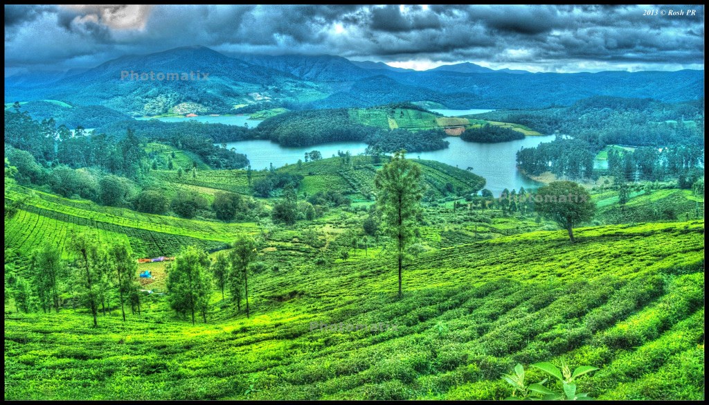 Emerald lake, Ooty