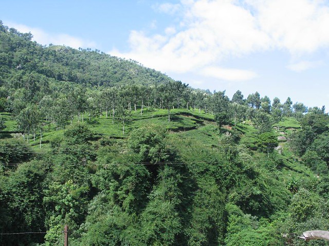 Best Places to visit in Ooty for couples