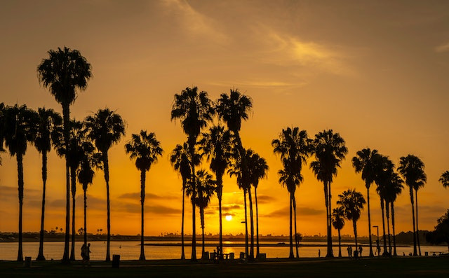 Fun Things to Do in San Diego